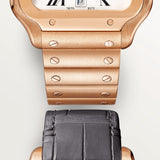 Santos de Cartier watch WGSA0018