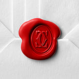 Santos de Cartier watch CRWGSA0029