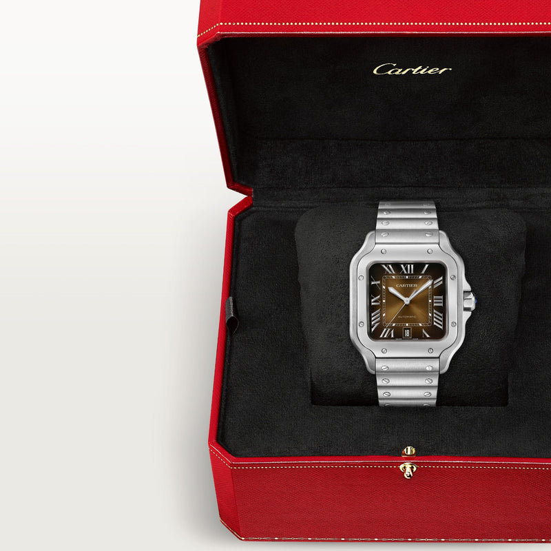 Santos de Cartier watch CRWSSA0064
