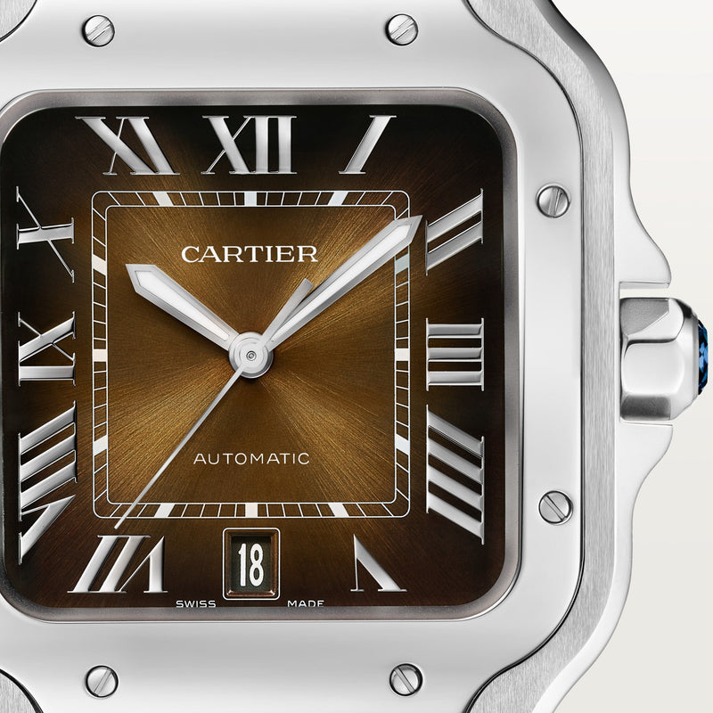Santos de Cartier watch CRWSSA0064