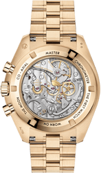 Speedmaster Moonwatch Professional 310.60.42.50.01.002