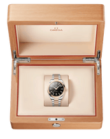 Seamaster Aqua Terra 150M 41 mm 220.20.41.21.01.001