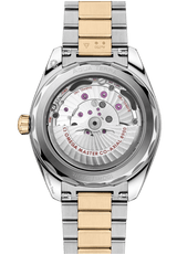 Seamaster Aqua Terra 150M 41 mm 220.20.41.21.01.001