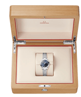 Seamaster Aqua Terra 150M 30 mm 220.10.30.20.03.001