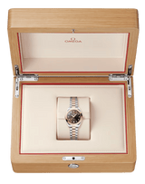 Seamaster Aqua Terra 150M 30 mm 220.20.30.20.63.001