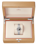 Seamaster Aqua Terra 150M 30 mm 220.15.30.20.56.001