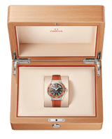 Seamaster Planet Ocean 600mm 42 mm 217.32.42.21.01.004