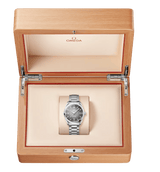 Seamaster Railmaster 150M 38 mm 235.10.38.20.06.001