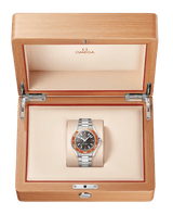 Seamaster Planet Ocean 600mm 42 mm 217.30.42.21.01.003
