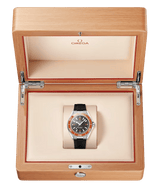 Seamaster Planet Ocean 600mm 42 mm 217.32.42.21.01.003