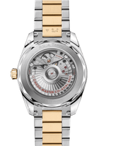 Seamaster Aqua Terra 150M 38 mm 220.20.38.20.10.002