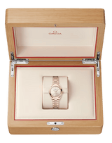 Seamaster Aqua Terra 150M 30 mm 220.50.30.20.09.001