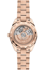 Seamaster Aqua Terra 150M 30 mm 220.50.30.20.09.001