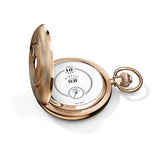 IWC Tribute to Pallweber Edition “150 Years” IW505101 - 2018 Collection