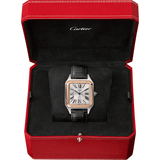 Santos-Dumont watch W2SA0011