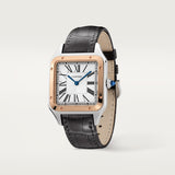 Santos-Dumont watch W2SA0011