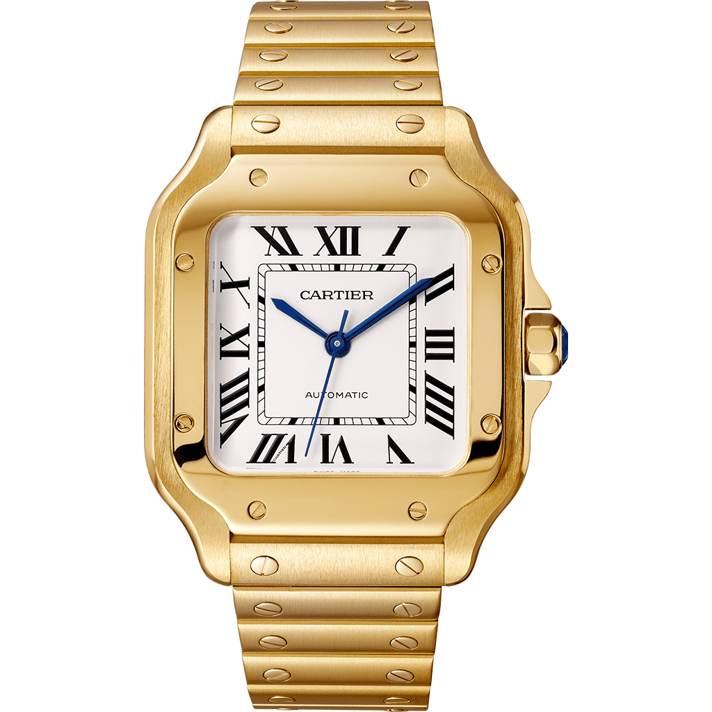 S*J様 CARTIER CENTURY OF CARTIER WRISTWAT Santos de Cartier watch WGSA0030 – CJ Charles Jewelers