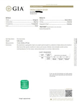 Platinum 18K Gold 11.67ctw Colombian Emerald Diamond Drop Earrings