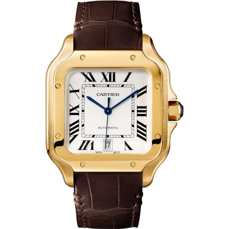 Santos de Cartier Watch CRWGSA0009