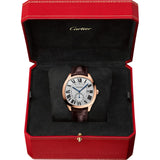 Drive de Cartier WGNM0003