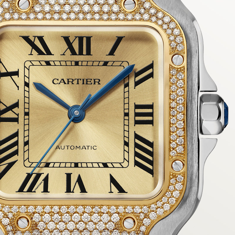 Santos de Cartier watch CRW3SA0007