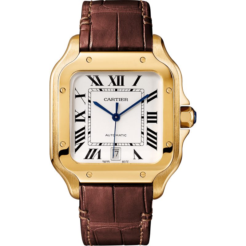 Santos de Cartier watch CRWGSA0029