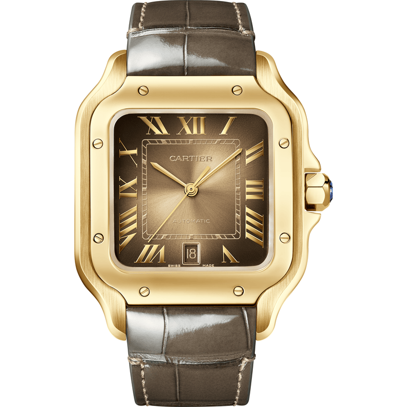 Santos de Cartier watch CRWGSA0095