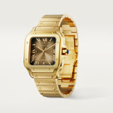 Santos de Cartier watch CRWGSA0095