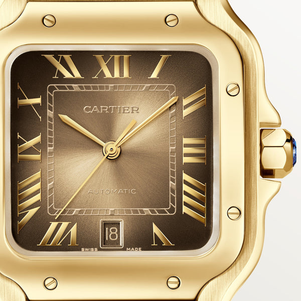 Santos de Cartier watch CRWGSA0095