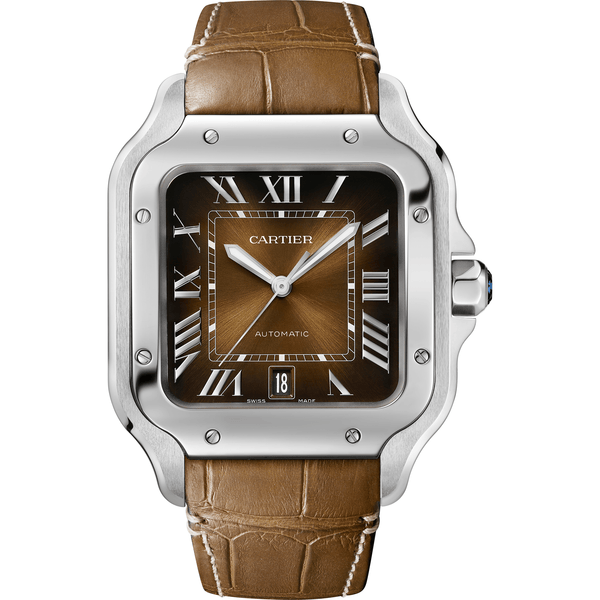 Santos de Cartier Watch CRWSSA0065