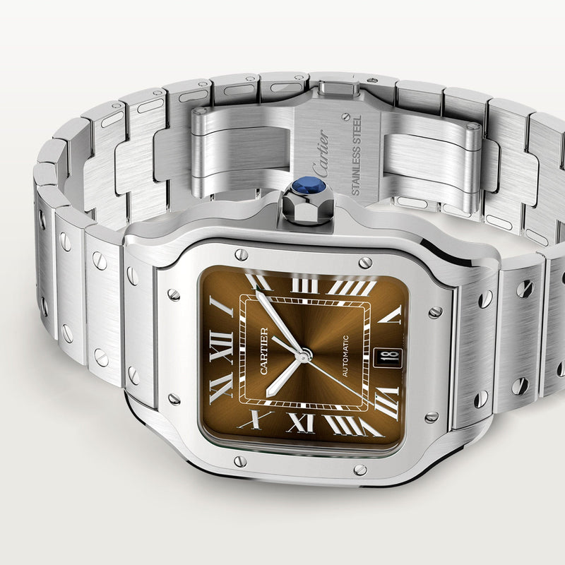 Santos de Cartier Watch CRWSSA0065