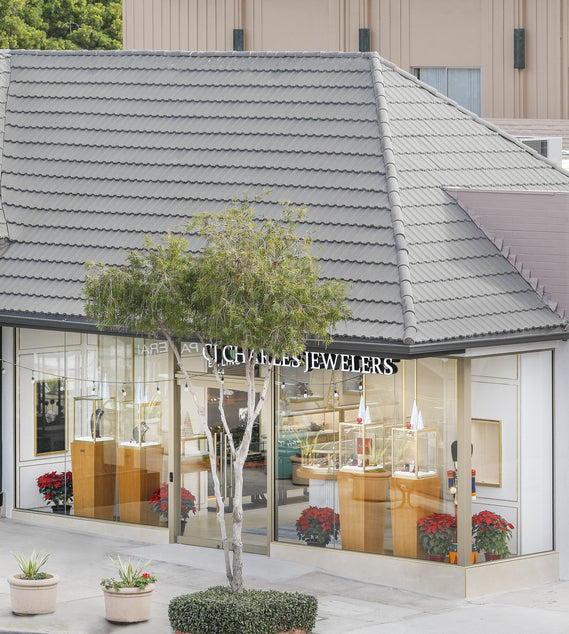 CJ Charles PREMIER SOURCE FOR IWC WATCHES