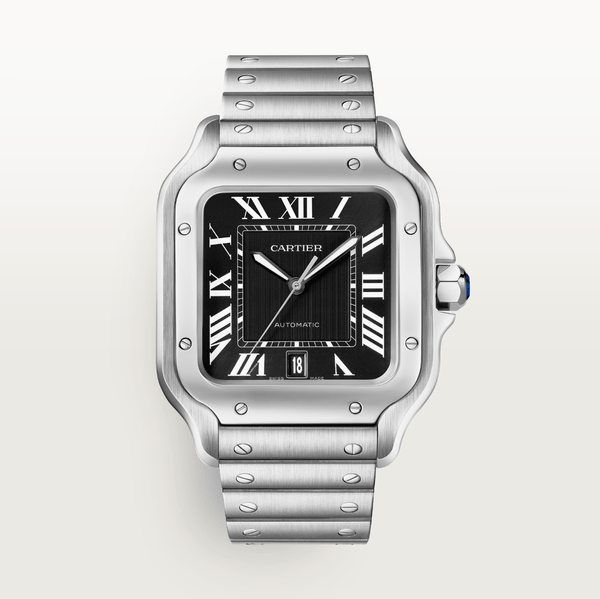 Santos de Cartier Watch WSSA0096