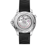 Seamaster Diver 300M Co‑Axial Master Chronometer 42mm 210.32.42.20.01.003