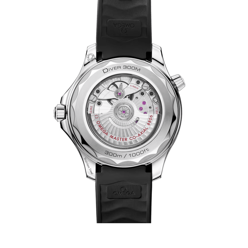 Seamaster Diver 300M Co‑Axial Master Chronometer 42mm 210.32.42.20.01.003