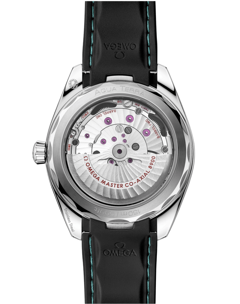 Seamaster Aqua Terra 150M 41 mm 220.32.41.21.03.001