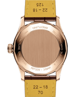 Breitling Navitimer Automatic 41 R17329F41G1P1