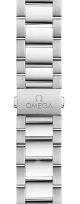 Seamaster Aqua Terra 150M 41 mm 220.10.41.21.02.001