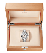 Seamaster Aqua Terra 150M 41 mm 220.10.41.21.02.001