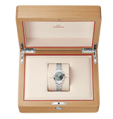 Seamaster Aqua Terra 150M 30 mm 220.10.30.20.60.001