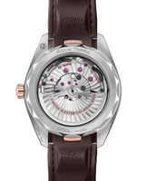Seamaster Aqua Terra 150M 220.22.41.21.06.001