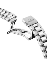 Seamaster Aqua Terra 150m  220.10.41.21.02.005