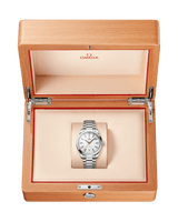 Seamaster Aqua Terra 150m  220.10.41.21.02.005