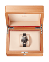 Seamaster Aqua Terra 150M 220.22.41.21.06.001