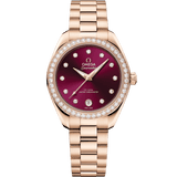 Seamaster Aqua Terra 150M 30 mm 220.55.30.20.61.001