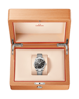 Seamaster Aqua Terra 150m  220.10.41.21.01.003