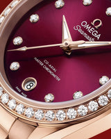 Seamaster Aqua Terra 150M 30 mm 220.55.30.20.61.001