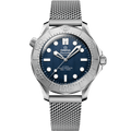 Seamaster Diver 300M 