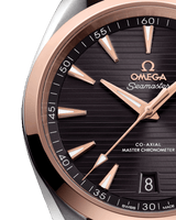 Seamaster Aqua Terra 150M 220.22.41.21.06.001
