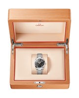 Seamaster Aqua Terra 150m 220.10.38.20.01.005